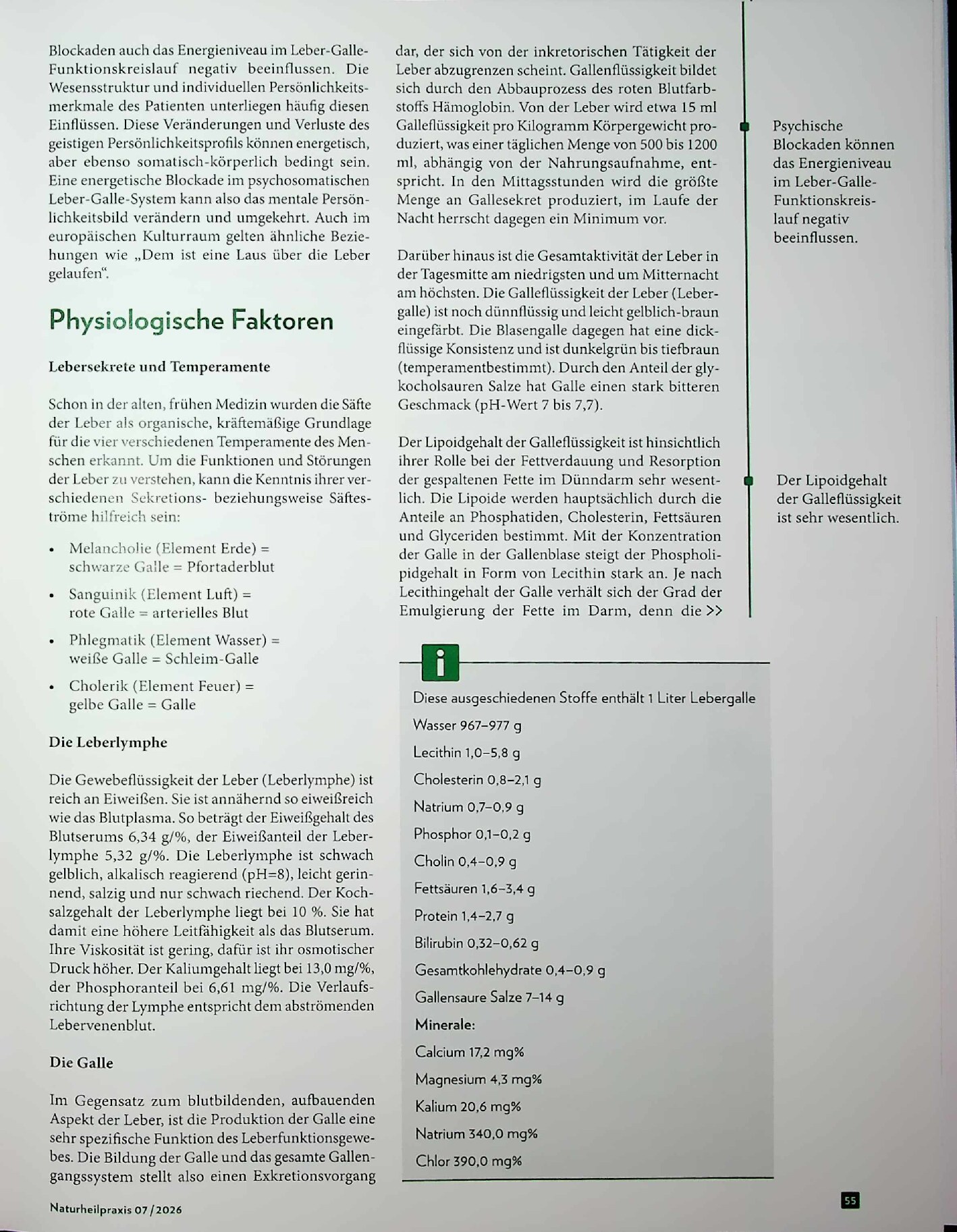Vorschauseite 2: Innere Stabilität: Erkrankungen des Leber- und Gallesystems behandeln