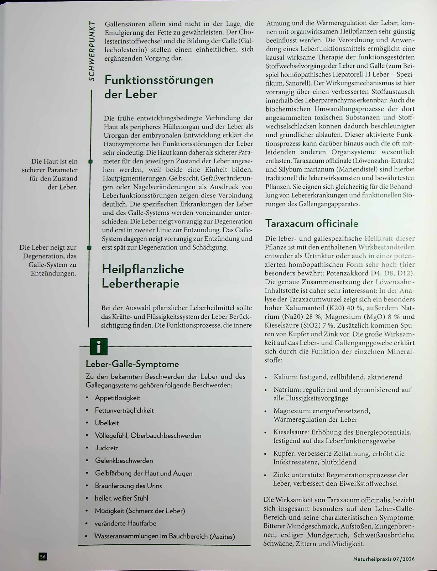 Vorschauseite 3: Innere Stabilität: Erkrankungen des Leber- und Gallesystems behandeln