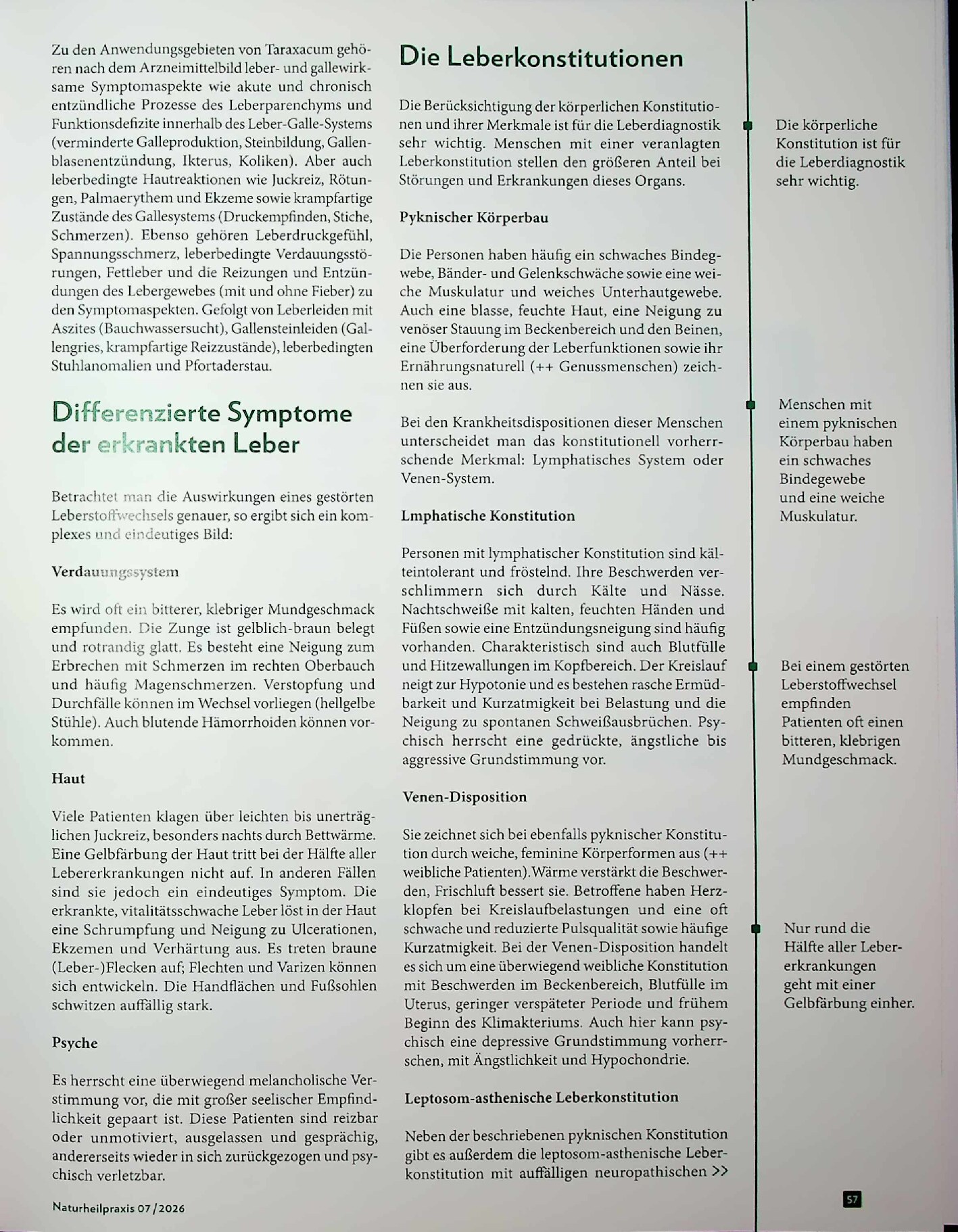 Vorschauseite 4: Innere Stabilität: Erkrankungen des Leber- und Gallesystems behandeln