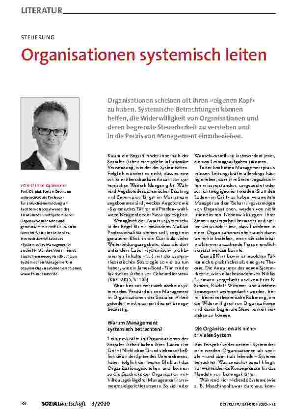 Vorschauseite 1: Organisationen systemisch leiten