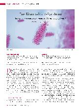 Vorschauseite 1: Das Kearns-Sayre-Syndrom: Eine genetisch bedingte Erkrankung mit kardialer Symptomatik.