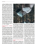 Vorschauseite 3: ZWISCHEN YOGA-WELT UND ALLTAGSWELT – TEIL XXV Traumatische Spannungen – dynamisch aufgelöst
