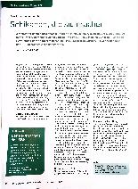 Vorschauseite 1: Schikanen, die sich rächen