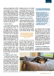 Vorschauseite 2: Bürohunde: Regeln für das Miteinander - Der Wow-Effekt