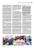 Vorschauseite 2: Wenn das Miteinander fehlt