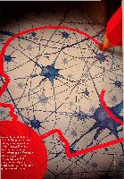 Vorschauseite 1: Cognitive Functional Therapy bei chronischen Schmerzen