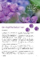 Vorschauseite 1: Den Kopf frei bekommen