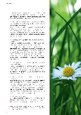 Vorschauseite 2: Den Kopf frei bekommen