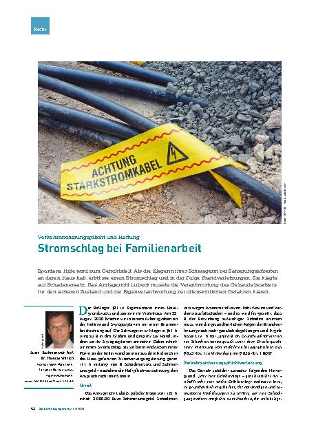 Vorschauseite 1: Verkehrssicherungspflicht und Haftung Stromschlag bei Familienarbeit