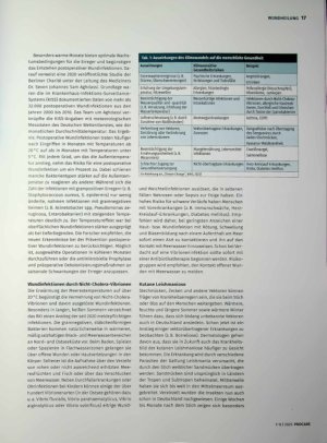 Vorschauseite 2: Wie das Klima die Wundheilung beeinflusst Herausforderung Klimawandel.