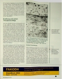 Vorschauseite 4: Rheumatische Erkrankungen - Erkrankungen der Matrix