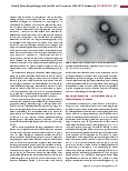 Vorschauseite 4: Aktuelle Daten, Empfehlungen und Ausblick zur Coronavirus SARS-CoV-2-Pandemie