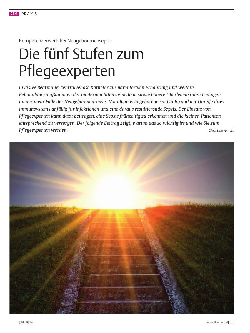 Vorschauseite 1: Die fünf Stufen zum Pflegeexperten