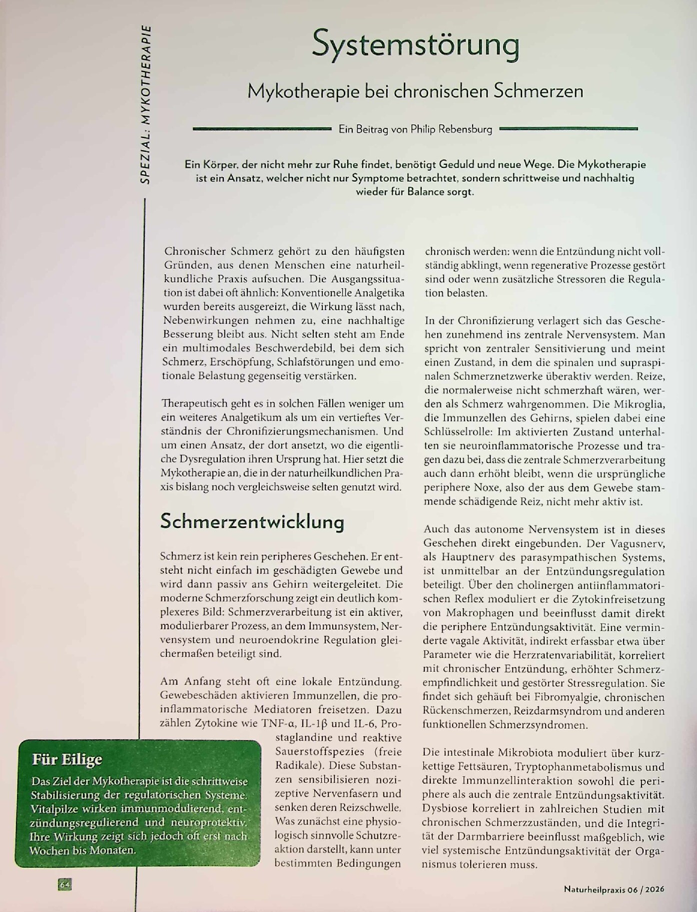 Vorschauseite 1: Systemstörung. Mykotherapie bei chronischen Schmerzen
