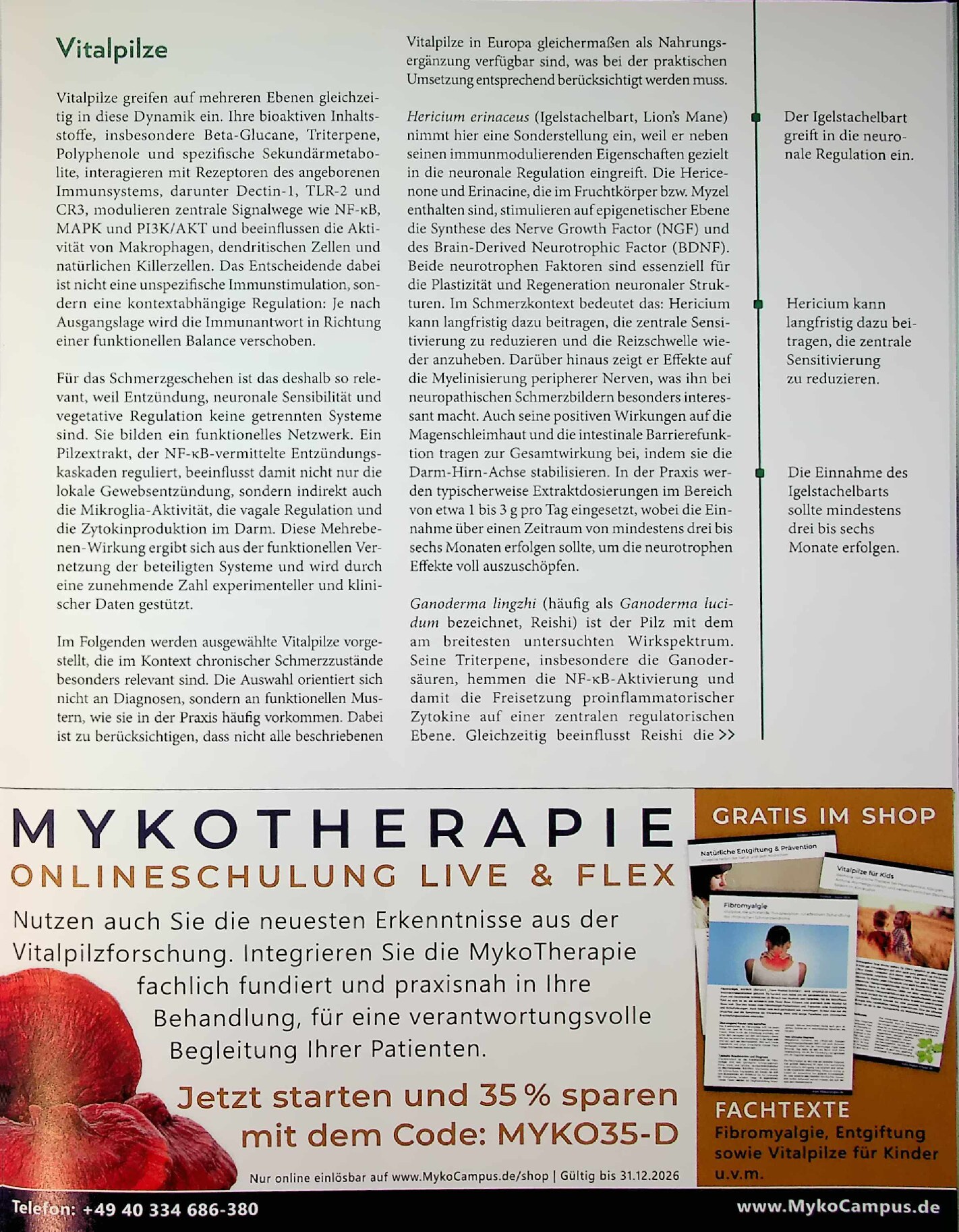 Vorschauseite 2: Systemstörung. Mykotherapie bei chronischen Schmerzen