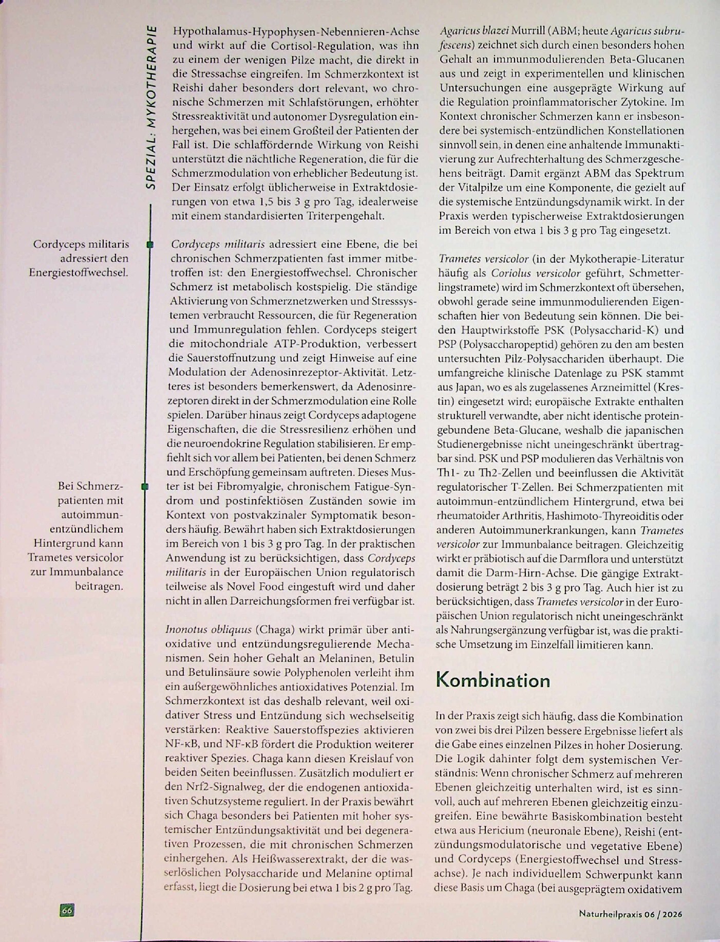 Vorschauseite 3: Systemstörung. Mykotherapie bei chronischen Schmerzen