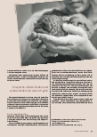 Vorschauseite 4: Unser weltumspannendes Handwerk