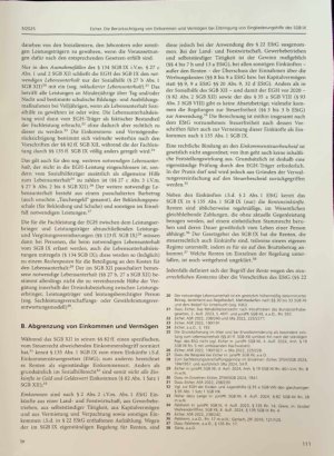 Vorschauseite 3: Die Berücksichtigung von Einkommen und Ver mögen bei Erbringung von Eingliederungs hilfe des SGB IX