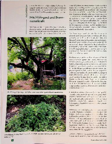 Vorschauseite 4: Im Schutz der Holundergöttin Mein Heilkräutergarten im Frühling