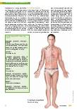 Vorschauseite 5: Atem-Odem-Qi-Leben – die „Energie“ in der Chinesischen Medizin