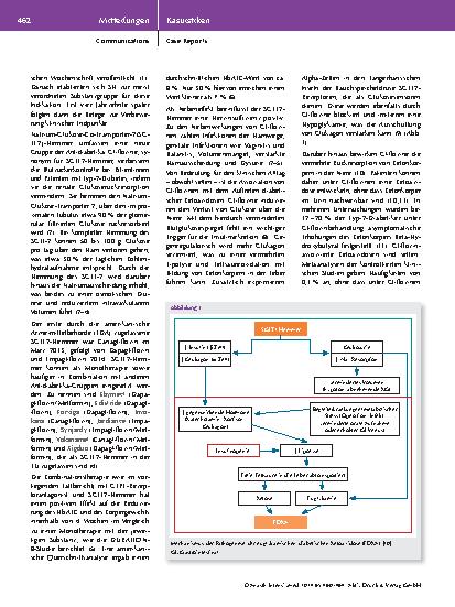 Vorschauseite 3: Die euglykämische diabetische Ketoazidose (EDKA): Eine seltene, aber potenziell lebensbedrohliche Nebenwirkung durch SGLT2-Hemmer.