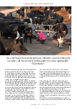 Vorschauseite 4: "Ohne den Menschen gibt es keine Tiere."