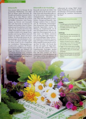 Vorschauseite 3: Hildegard von Bingen Die zeitlose Popularität ihrer Lehren