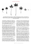 Vorschauseite 3: Eine andere Naturwissenschaft ist möglich