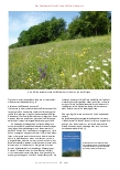 Vorschauseite 6: Eine andere Naturwissenschaft ist möglich