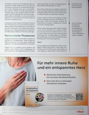 Vorschauseite 2: Atemnot Fallbeispiel einer ganzheitlichen Asthmatherapie