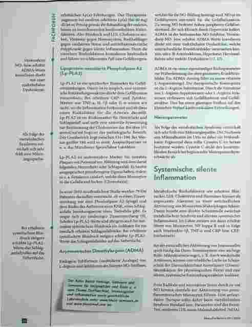 Vorschauseite 4: Das metabolische Syndrom | Stoffwechselprobleme als kardiovaskuläre Risiken und Promotoren stiller Inflammation