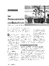 Vorschauseite 1: Gemüsereste nachwachsen lassen
