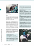 Vorschauseite 3: Ergotherapie mit dem Pferd versus klassische Ergotherapie!? Gemeinsamkeiten und Unterschiede