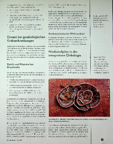 Vorschauseite 2: Vitalpilze in der Onkologie: Bioaktive Pilz-Polysaccharide als Antitumor-Substanzen