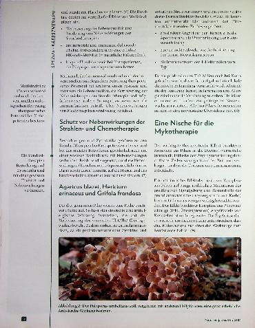 Vorschauseite 3: Vitalpilze in der Onkologie: Bioaktive Pilz-Polysaccharide als Antitumor-Substanzen