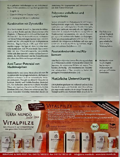 Vorschauseite 4: Vitalpilze in der Onkologie: Bioaktive Pilz-Polysaccharide als Antitumor-Substanzen