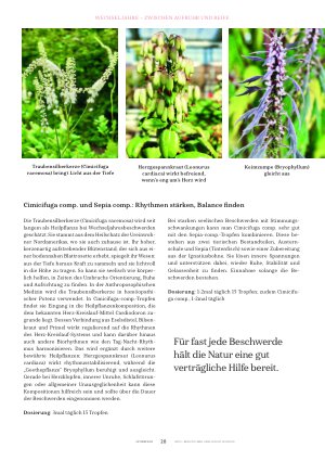 Vorschauseite 3: Wechseljahresbeschwerden natürlich behandeln