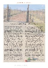 Vorschauseite 4: Sollte man Auschwitz haben? Correction: Sollte man Auschwitz besuchen?