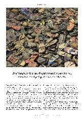Vorschauseite 5: Sollte man Auschwitz haben? Correction: Sollte man Auschwitz besuchen?