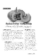 Vorschauseite 1: Farbenfroher Herbstriese