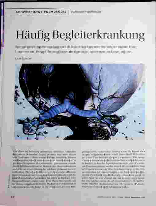 Vorschauseite 2: Häufige Begleiterkrankung