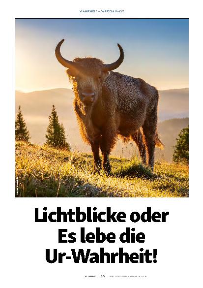 Vorschauseite 1: Lichtblicke oder Es lebe die Ur-Wahrheit!