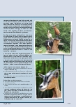 Vorschauseite 2: Raum für inklusive Begegnungen: Das Tierprojekt an der Bettina-von-Arnim-Schule