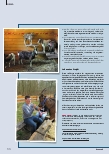 Vorschauseite 3: Raum für inklusive Begegnungen: Das Tierprojekt an der Bettina-von-Arnim-Schule