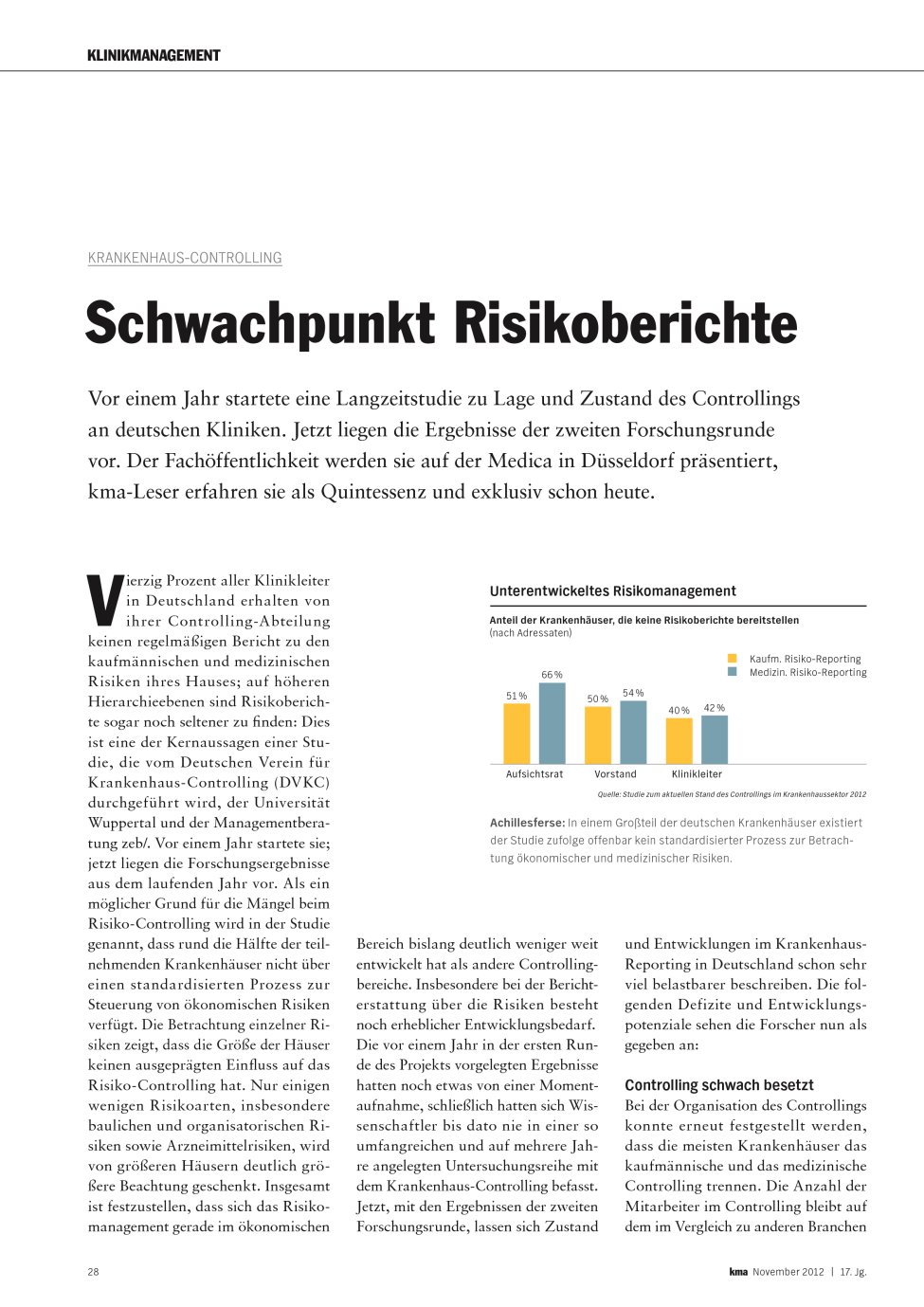 Vorschauseite 1: Schwachpunkt Risikoberichte