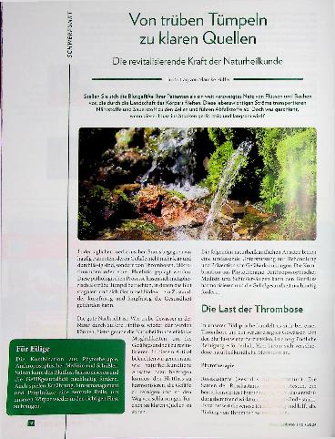 Vorschauseite 1: Von trüben Tümpeln zu klaren Quellen: Die revitalisierende Kraft der Naturheilkunde
