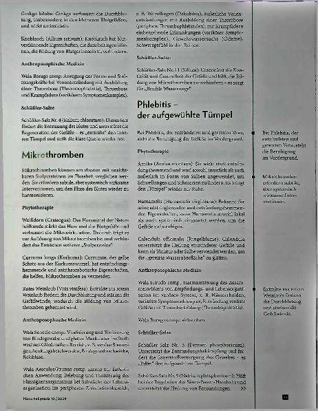 Vorschauseite 2: Von trüben Tümpeln zu klaren Quellen: Die revitalisierende Kraft der Naturheilkunde