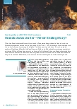 Vorschauseite 1: Brandschutzschalter – Never Ending Story?