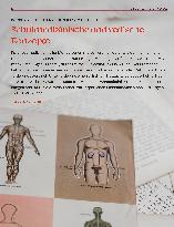 Vorschauseite 1: Schulmedizinische und vedische Konzepte Körper-Geist-Interaktion im Yoga - Teil 1