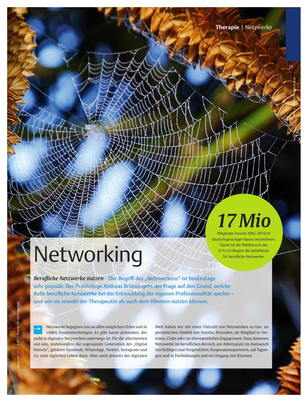 Vorschauseite 1: Networking – Berufliche Netzwerke nutzen